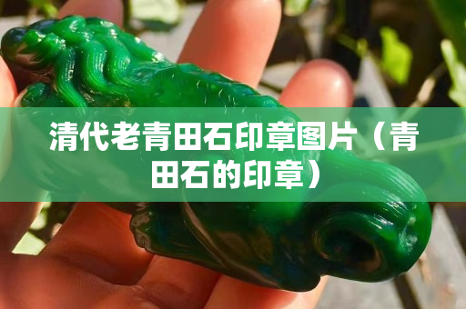 清代老青田石印章图片（青田石的印章）