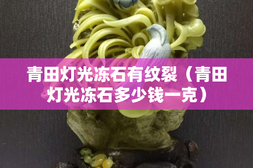 青田灯光冻石有纹裂（青田灯光冻石多少钱一克）