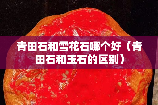 青田石和雪花石哪个好（青田石和玉石的区别）