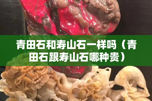 青田石和寿山石一样吗（青田石跟寿山石哪种贵）