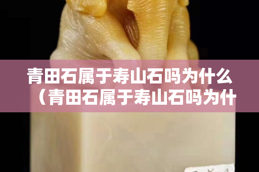 青田石属于寿山石吗为什么（青田石属于寿山石吗为什么呢）