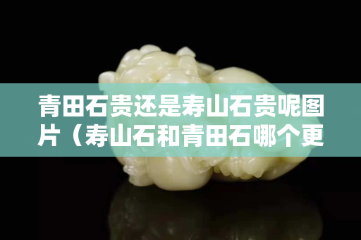 青田石贵还是寿山石贵呢图片（寿山石和青田石哪个更有收藏价值）