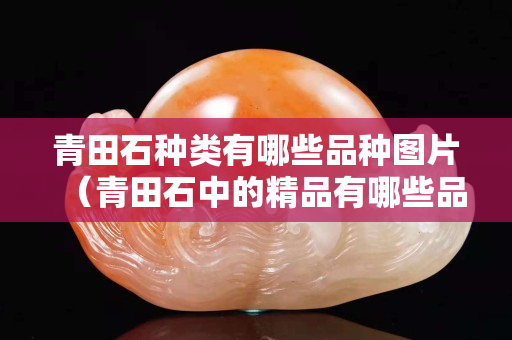 青田石种类有哪些品种图片（青田石中的精品有哪些品种）
