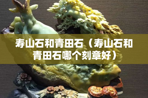 寿山石和青田石（寿山石和青田石哪个刻章好）