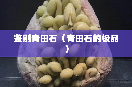 鉴别青田石（青田石的极品）