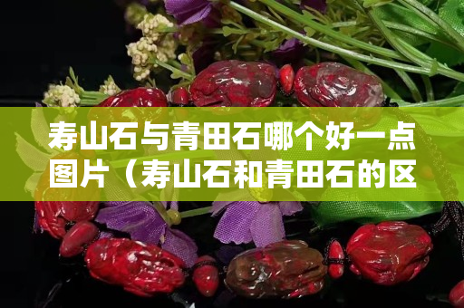 寿山石与青田石哪个好一点图片（寿山石和青田石的区别）