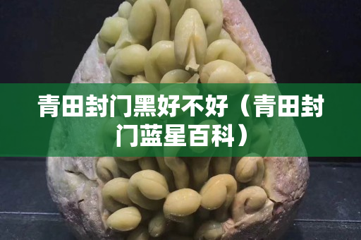 青田封门黑好不好（青田封门蓝星百科）