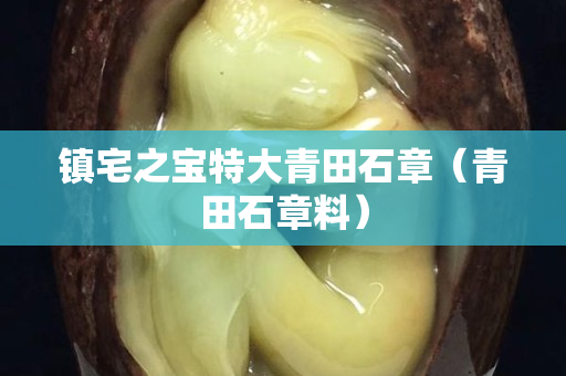 镇宅之宝特大青田石章（青田石章料）
