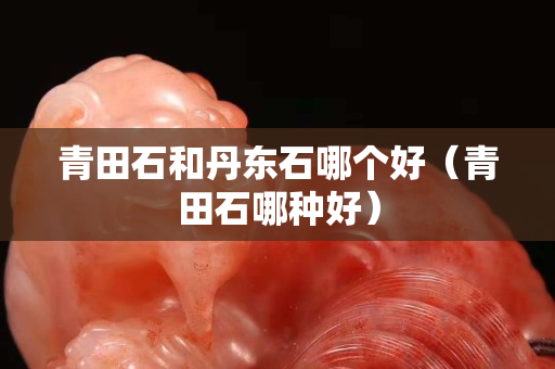 青田石和丹东石哪个好（青田石哪种好）