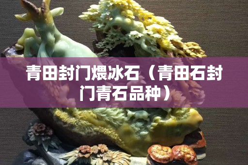 青田封门煨冰石（青田石封门青石品种）