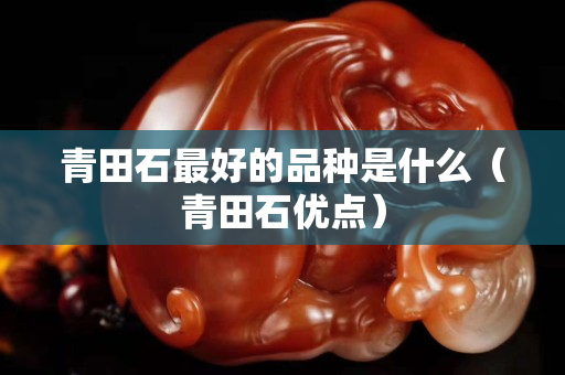 青田石最好的品种是什么（青田石优点）