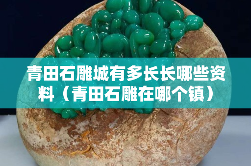 青田石雕城有多长长哪些资料（青田石雕在哪个镇）