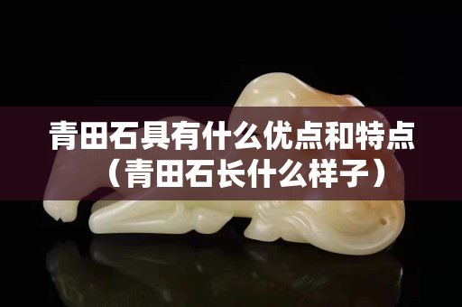 青田石具有什么优点和特点（青田石长什么样子）