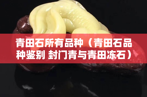 青田石所有品种（青田石品种鉴别 封门青与青田冻石）