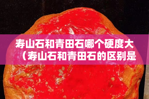 寿山石和青田石哪个硬度大（寿山石和青田石的区别是什么？）