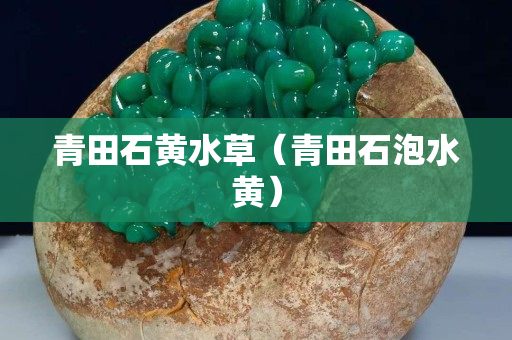 青田石黄水草（青田石泡水黄）