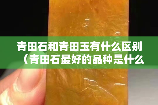 青田石和青田玉有什么区别（青田石最好的品种是什么）