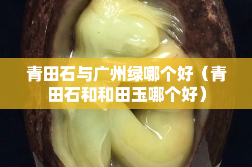 青田石与广州绿哪个好（青田石和和田玉哪个好）