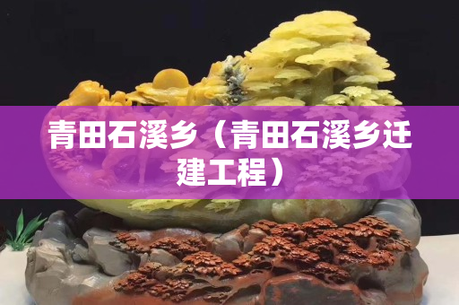青田石溪乡（青田石溪乡迁建工程）