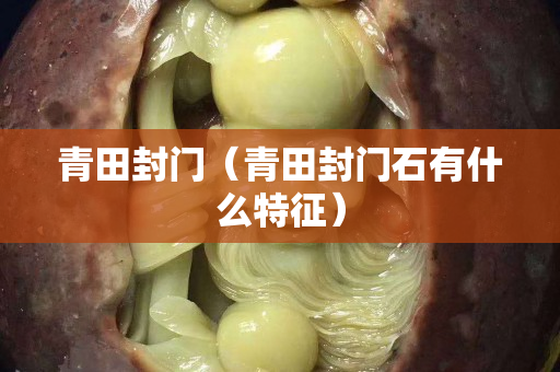 青田封门（青田封门石有什么特征）