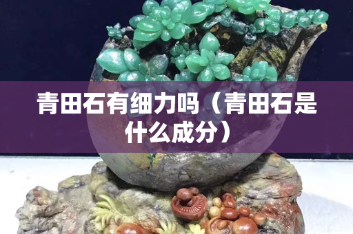 青田石有细力吗（青田石是什么成分）
