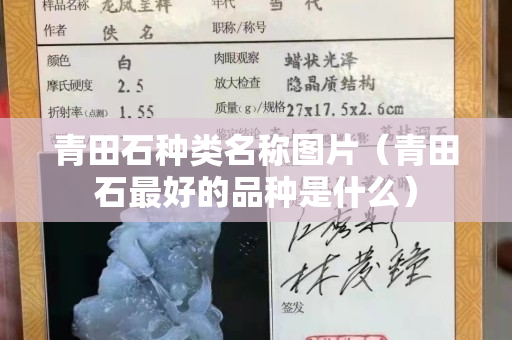 青田石种类名称图片（青田石最好的品种是什么）