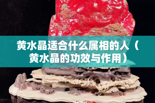 黄水晶适合什么属相的人（黄水晶的功效与作用）
