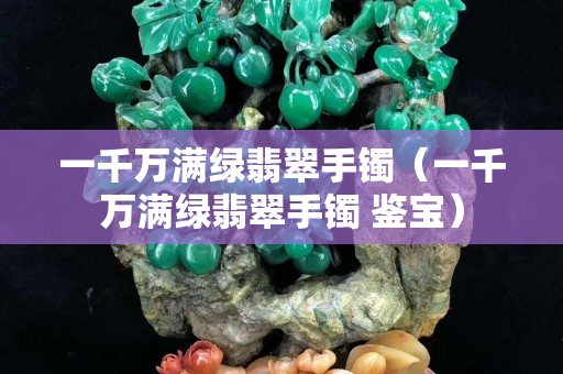 一千万满绿翡翠手镯（一千万满绿翡翠手镯 鉴宝）