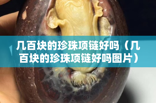 几百块的珍珠项链好吗（几百块的珍珠项链好吗图片）