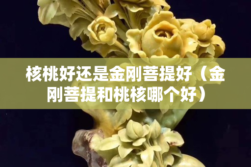 核桃好还是金刚菩提好（金刚菩提和桃核哪个好）