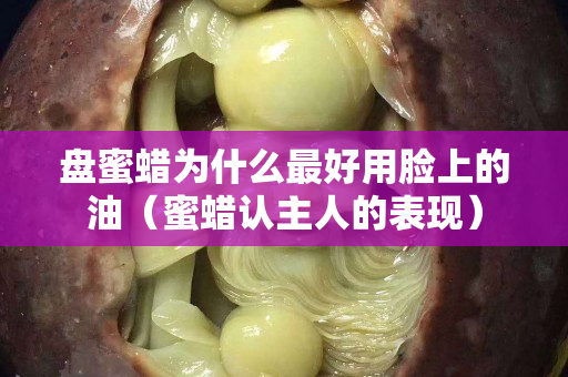 盘蜜蜡为什么最好用脸上的油（蜜蜡认主人的表现）