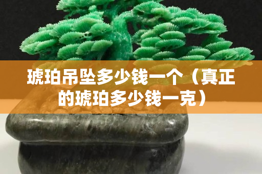 琥珀吊坠多少钱一个（真正的琥珀多少钱一克）
