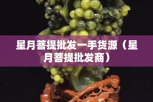 星月菩提批发一手货源（星月菩提批发商）