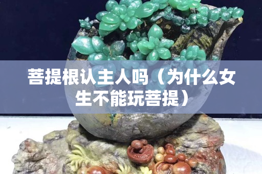 菩提根认主人吗（为什么女生不能玩菩提）