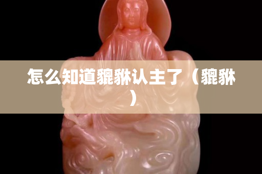 怎么知道貔貅认主了（貔貅）