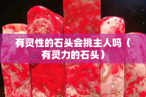 有灵性的石头会挑主人吗（有灵力的石头）