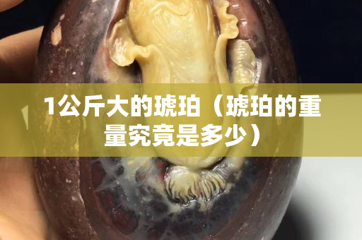 1公斤大的琥珀（琥珀的重量究竟是多少）