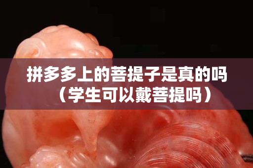 拼多多上的菩提子是真的吗（学生可以戴菩提吗）