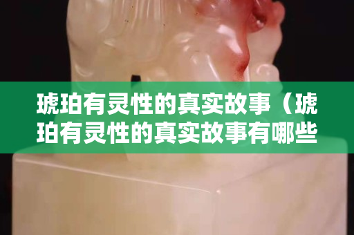 琥珀有灵性的真实故事（琥珀有灵性的真实故事有哪些）