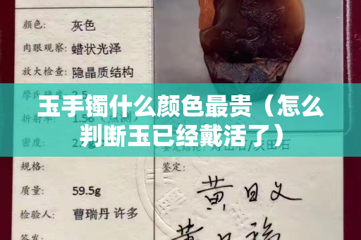 玉手镯什么颜色最贵（怎么判断玉已经戴活了）