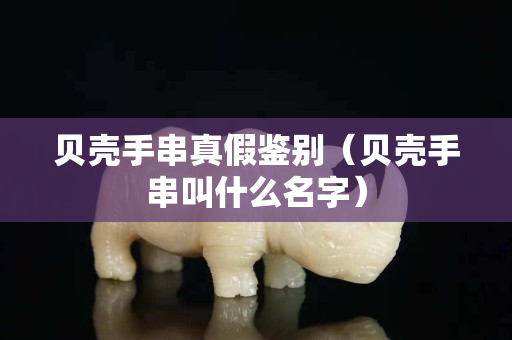 贝壳手串真假鉴别（贝壳手串叫什么名字）