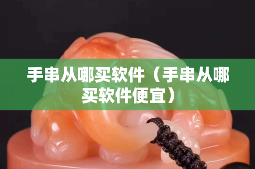 手串从哪买软件（手串从哪买软件便宜）