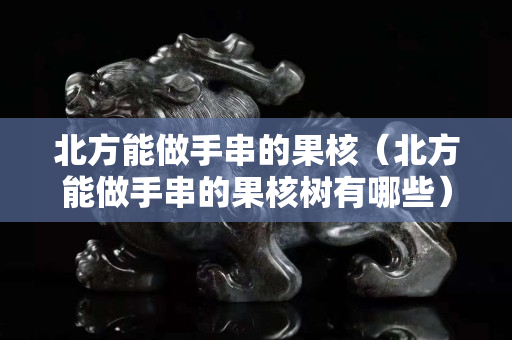 北方能做手串的果核（北方能做手串的果核树有哪些）