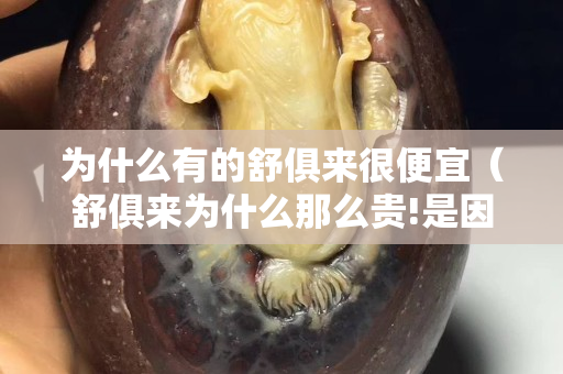为什么有的舒俱来很便宜（舒俱来为什么那么贵!是因为抗癌吗？）