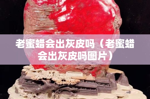 老蜜蜡会出灰皮吗（老蜜蜡会出灰皮吗图片）