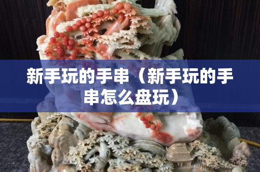 新手玩的手串（新手玩的手串怎么盘玩）
