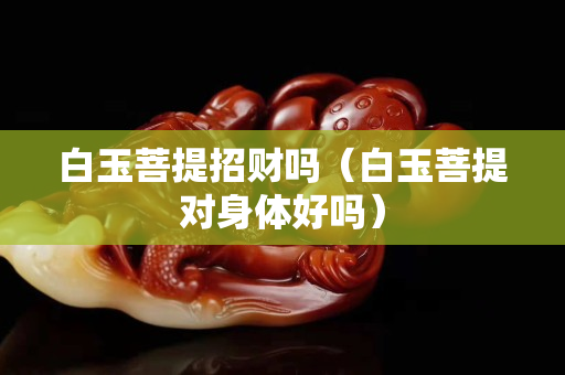 白玉菩提招财吗（白玉菩提对身体好吗）