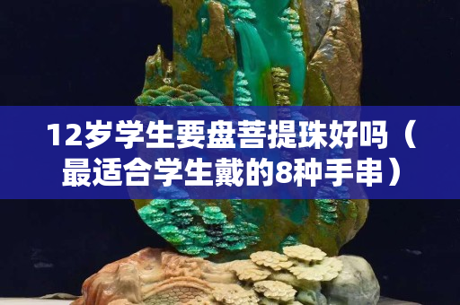 12岁学生要盘菩提珠好吗（最适合学生戴的8种手串）