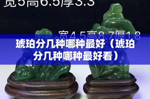 琥珀分几种哪种最好（琥珀分几种哪种最好看）