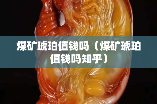 煤矿琥珀值钱吗（煤矿琥珀值钱吗知乎）